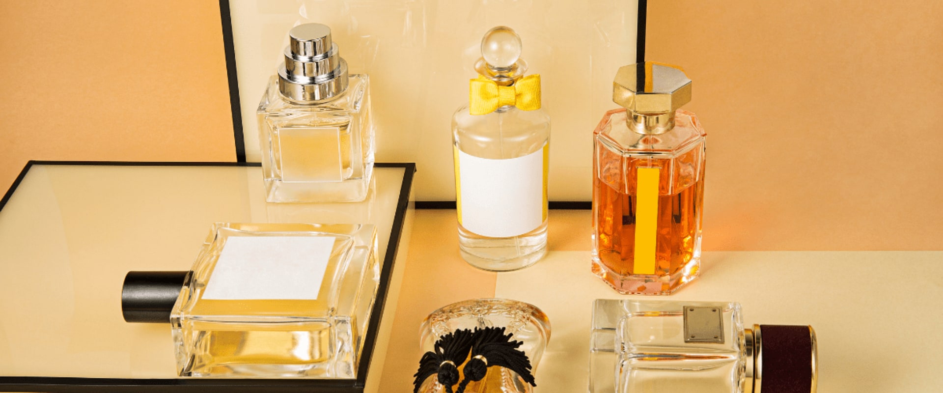 Perfume Decant Reviews: Best Rated Perfume Decants