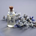 Perfume Samples: Where to Buy
